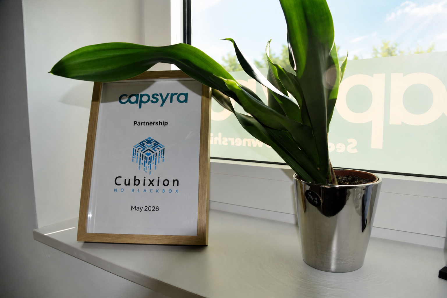 Capsyra strengthens its Belgian position through a strategic collaboration with Cubixion for local sovereign S3 storage